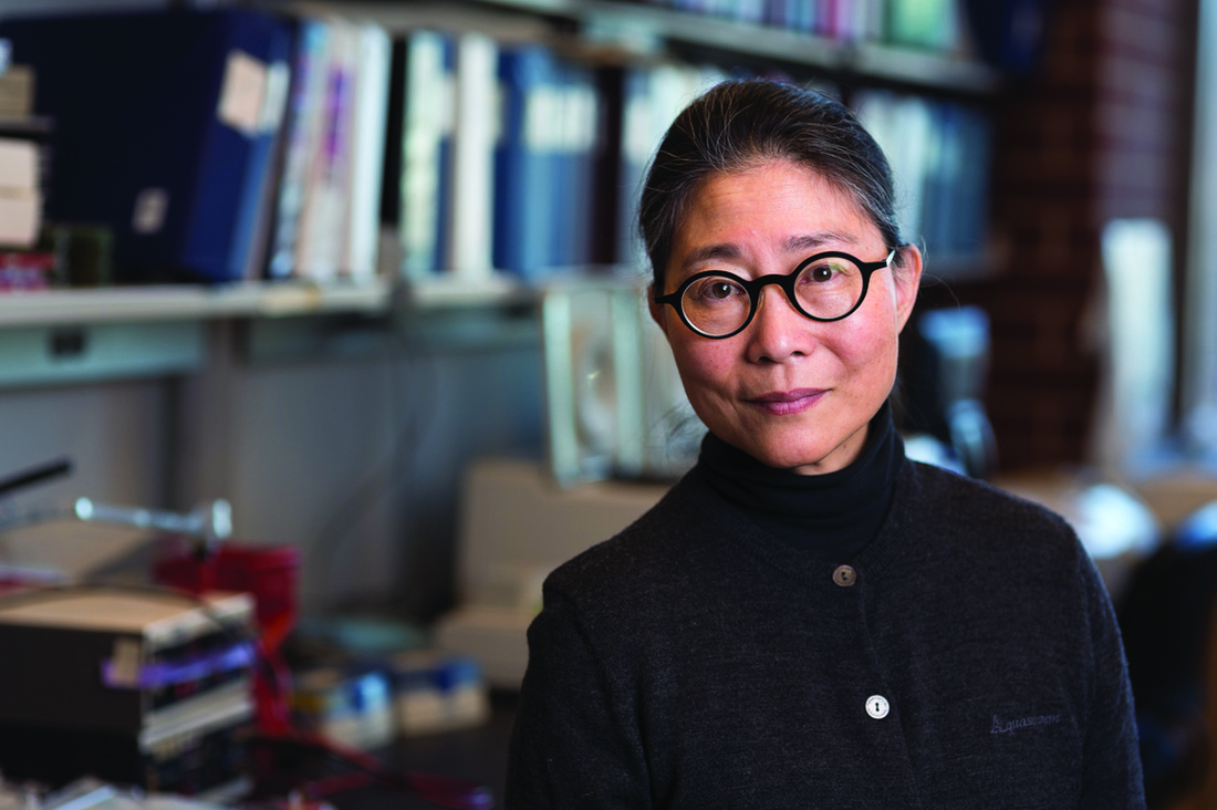 University of Minnesota neuroscientist Karen Hsiao Ashe