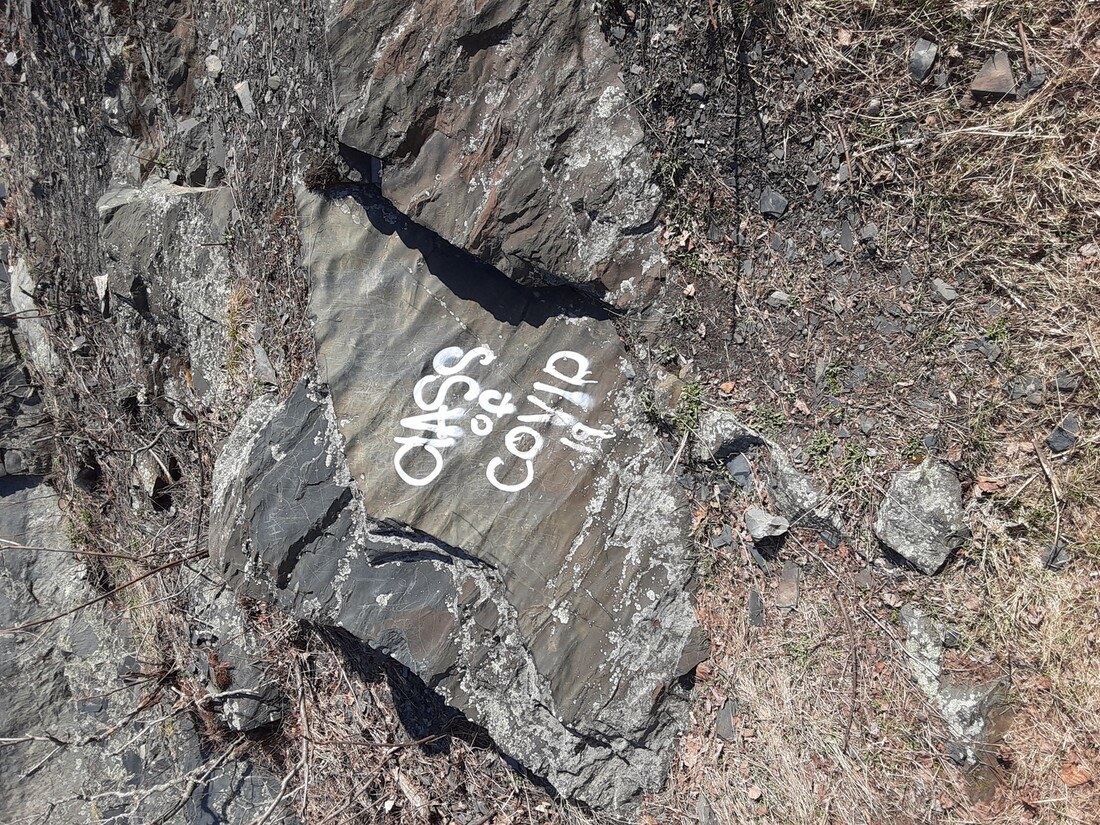 The words Class of COVID painted on a rock