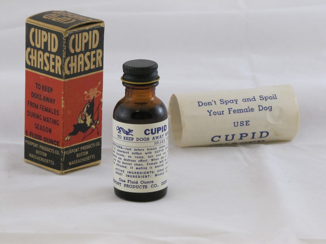 Cupid chaser, an elixer to keep male dogs away from female dogs during mating season