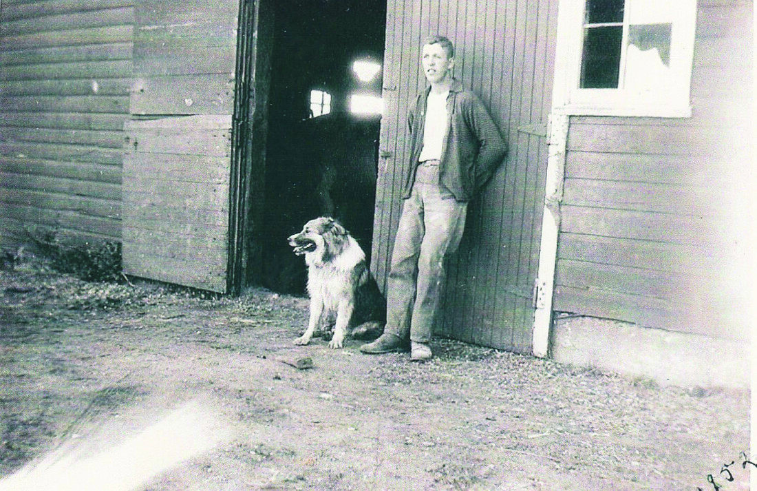 A young Arnold Sluis standing at the entrance to the barn with his dog