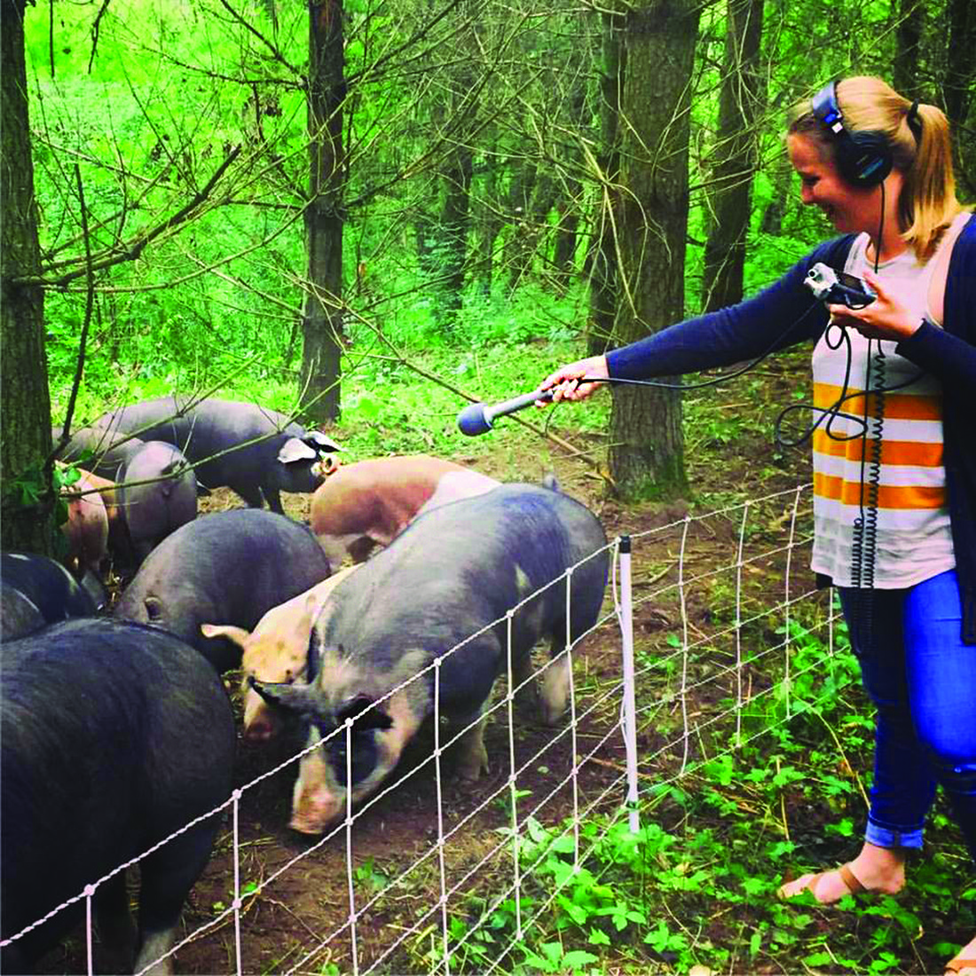 Melissa Wray with recording equpment and pigs