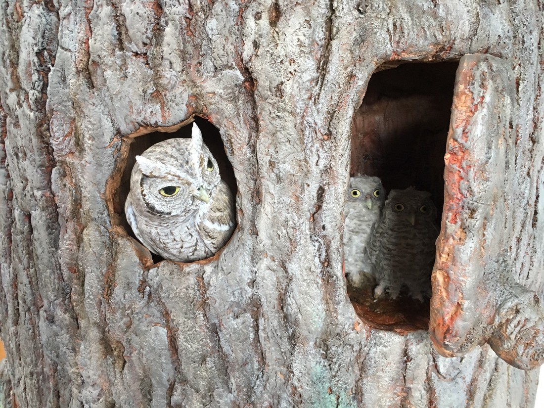 Owls-in-tree-2.JPG