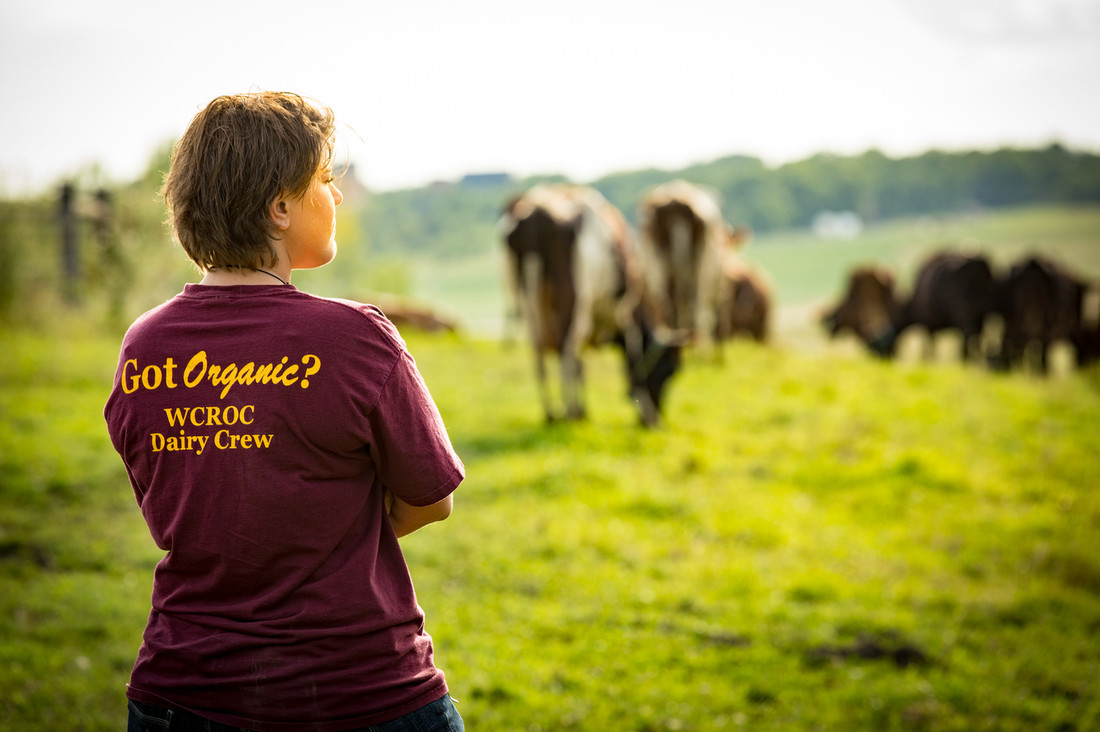 Photo of Savanna Christensen looking at a herd of cattle