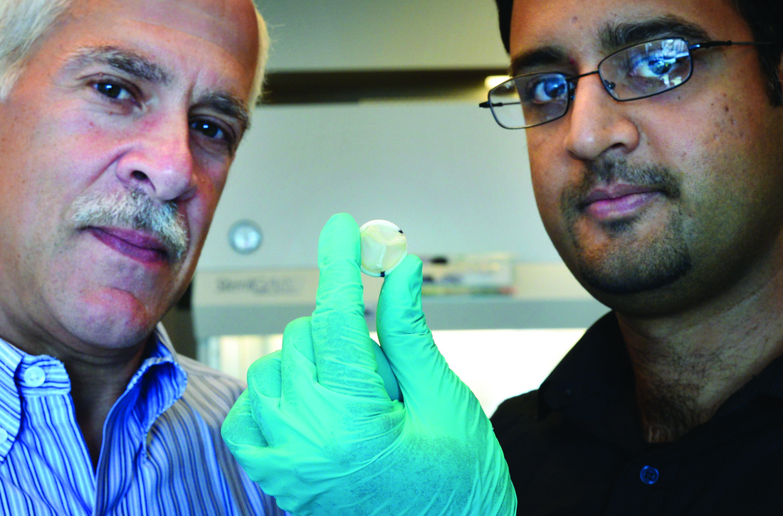 Robert Tranquillo (left) and Zeeshan Syedain with a prototype of the tissue-engineered heart valve they developed.