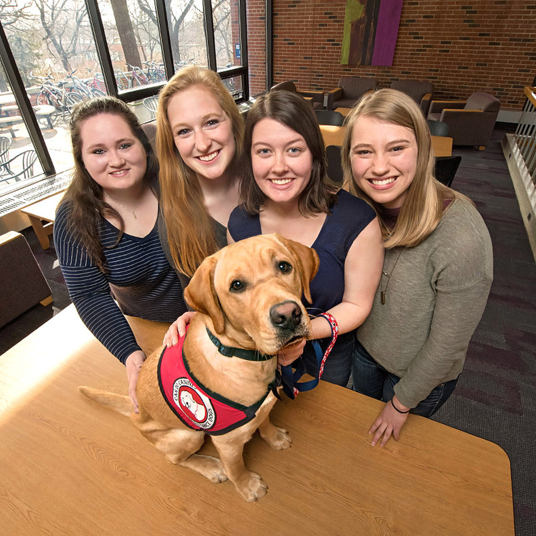 Four students with their yellow labrador retriever puppy wearing a service dog vest
