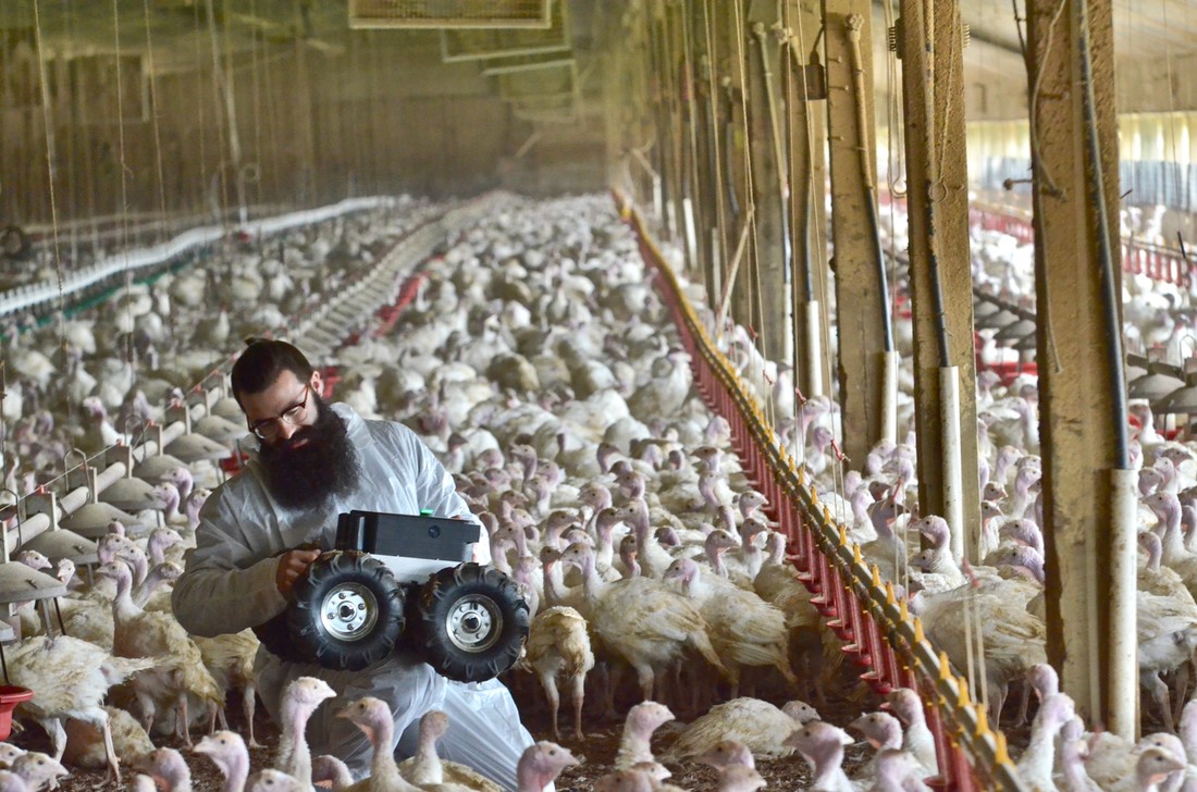 Jack Kilian holding a robot in a barn full of turkeys