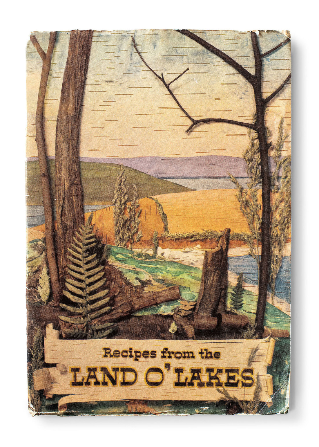Land O' Lakes recipe book